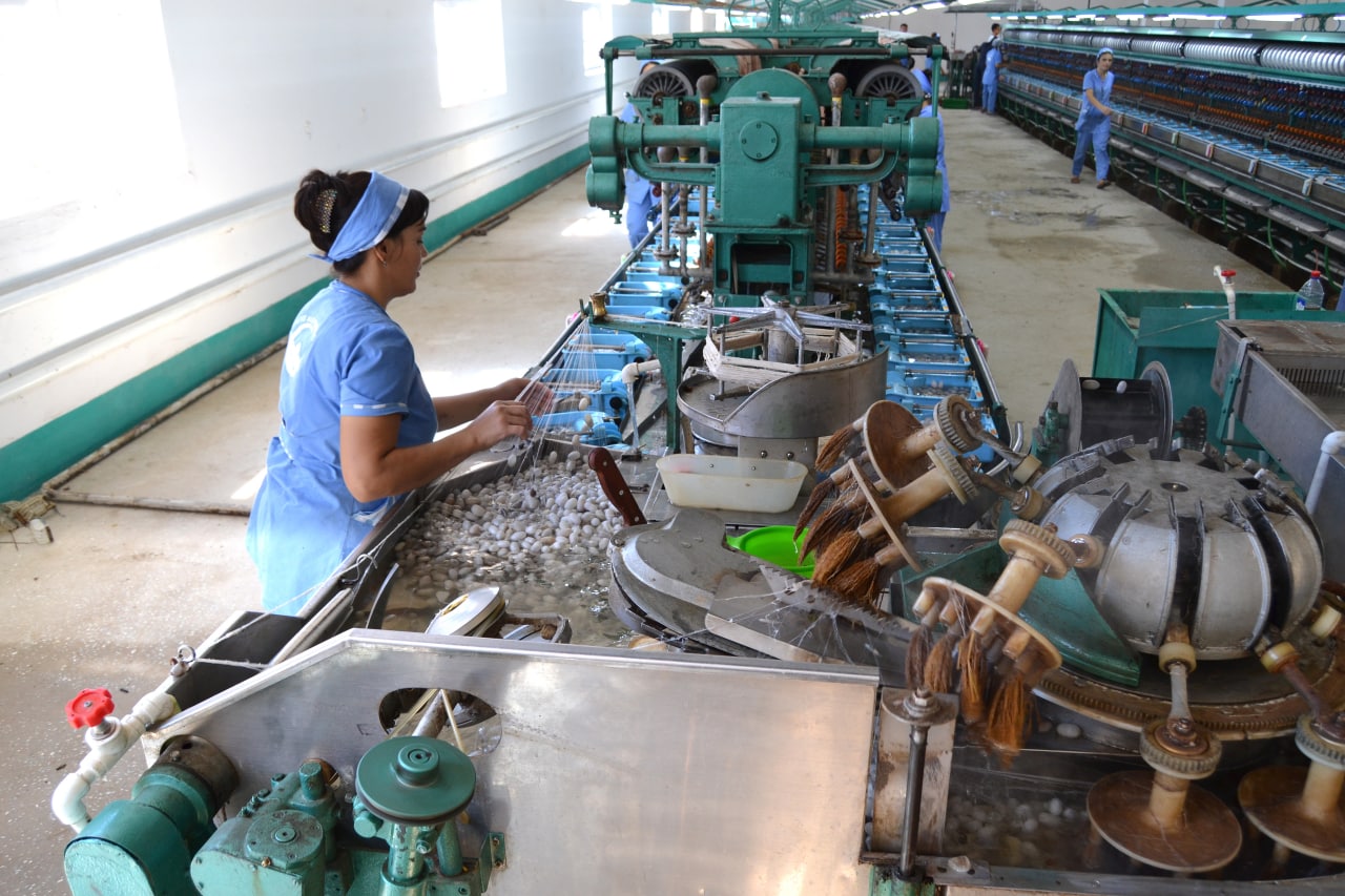 SILKARK to'qimachilik liniyasi