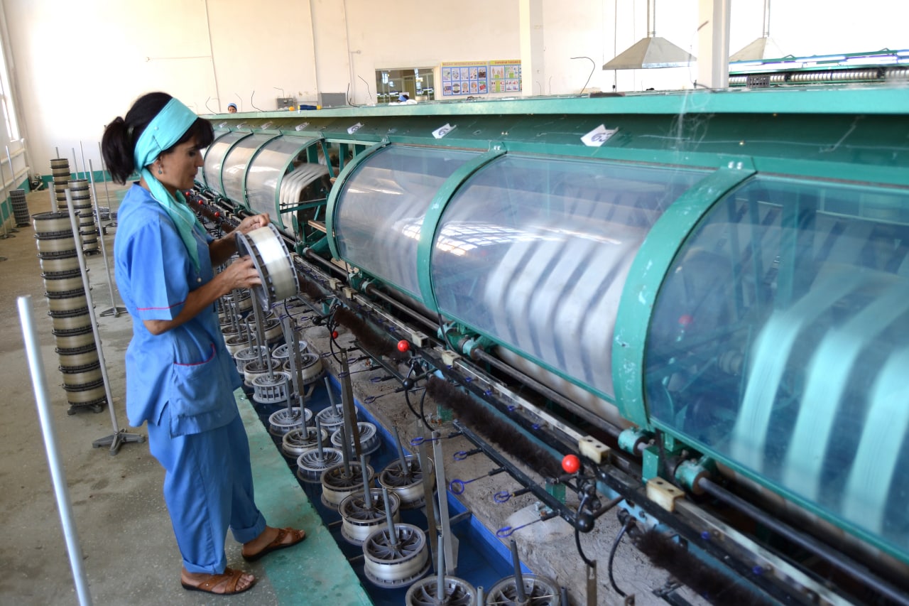 Ipak tolalarini tayyorlash jarayoni